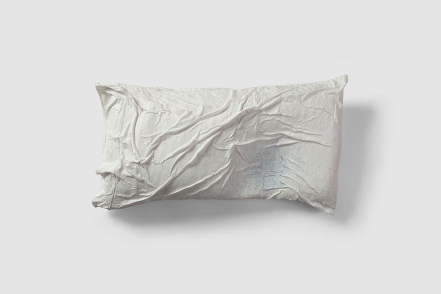 Pillow 1: DREAMING THAT I FLY by visual artist Guillermo del Valle